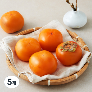 한들 청도 반시 5~6입, 5개, 700g