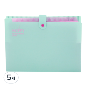 아베른 12칸 스마일 마카롱 바인더 아코디언파일, 민트, 5개