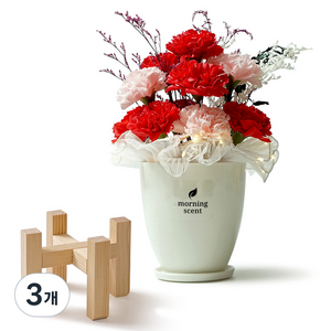 morningscent 조화 고급 생일 기념일 선물 비누꽃 카네이션 무드등 세라믹화분, 레드, 3개