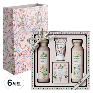 캐스키드슨 와일드로즈 앤 퀸스 인덜전트 바디세트 + 쇼핑백, 6세트