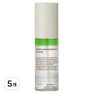 톤28 회상 헤어 퍼퓸 미스트, 50ml, 5개
