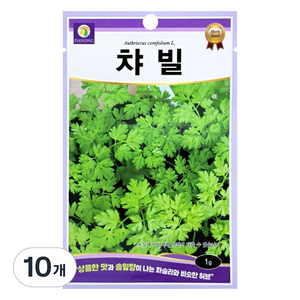 다농 챠빌 씨앗 1g, 10개