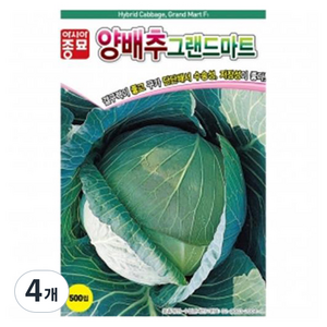 아시아종묘 양배추 그랜드마트 씨앗 500립, 4개