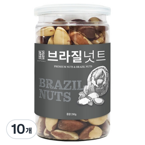 견과공장 페루산 브라질너트, 290g, 10개