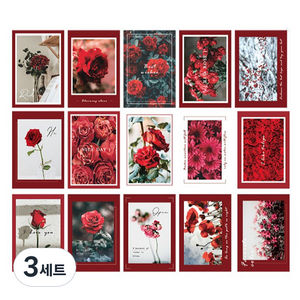 감성 인테리어 엽서 포토 카드 15종 세트, 15PA-14, 3세트