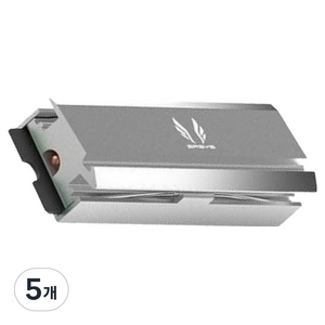 쓰리알시스템 빙하7 PLUS M.2 SSD 방열판, SILVER, 5개