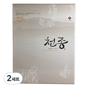 천제명홍삼 천종 산삼 배양근 설 선물세트 + 쇼핑백, 20ml, 2세트