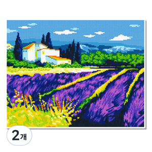 모모픽스페인팅 캔버스 액자 보석십자수 40 x 50 cm, 라벤더 꽃밭(DJ06), 2개