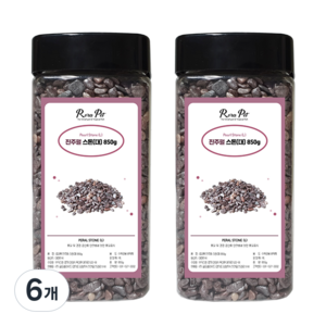 로라펫 반려동물 진주펄 스톤 사각통 대 850g, 혼합색상, 6개