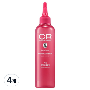닥터그루트 클리니컬 릴리프 10초 워터 스케일러, 250ml, 4개