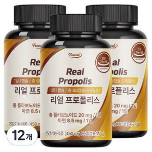 퍼니트 리얼 프로폴리스, 12개, 27g
