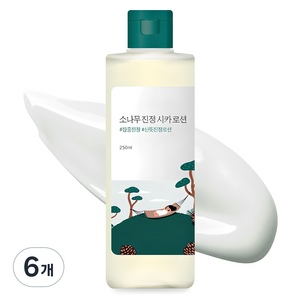라운드랩 소나무 진정 시카 로션, 250ml, 6개