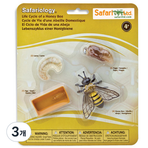 사파리엘티디 피규어 622716 꿀벌의성장과정 Life Cycle of a Honey Bee, 3개