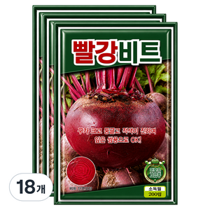씨앗팜 빨강 비트 씨앗 200p, 18개