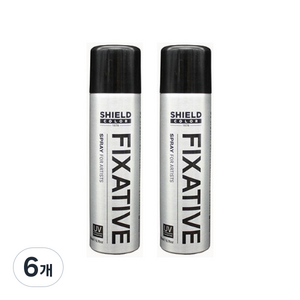 쉴드 미술용 픽사티브, 150ml, 6개