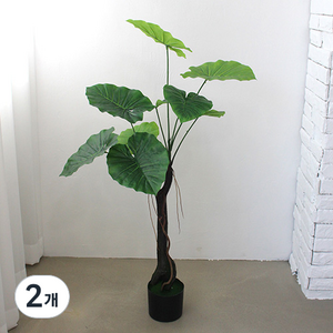 조아트 라인 알로카시아 110cm, 혼합 색상, 2개