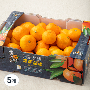 귤탐 당도선별 11brix 감귤, 2kg(소과), 5개