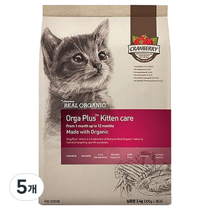 리얼오가닉 캣 오가플러스 케어 기능성 사료, 키튼, 2.4kg, 5개