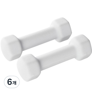 앳플리 LW 미용 아령, 1kg, 6개