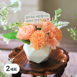 센트바스켓 조화 블러썸 실크플라워 비누꽃 카네이션 센터피스 + LED조명 + 캐리어박스 + 토퍼 + 용돈봉투 세트, 코랄, 2세트