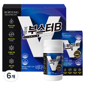보령 부스터B, 120정, 6개