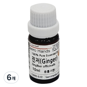 새로핸즈 진저 에센셜오일 10ml, 6개