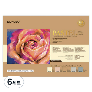 문교 파스텔 전용지 160g 소프트색 5종, A3, 20매, 6세트
