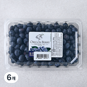 H&B 미국산 블루베리, 310g, 6개