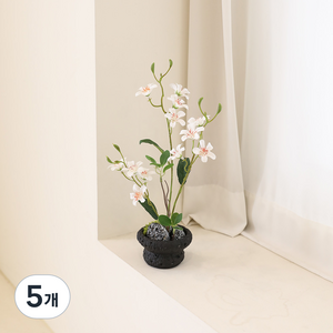 조아트 조화 인테리어 화산석 플랜테리어 소품 미니 화분 스프링블러썸, 크림, 5개