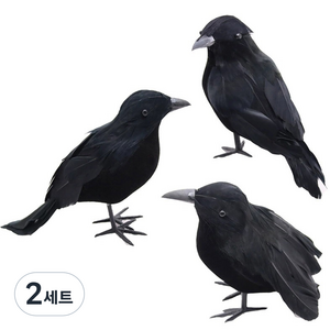스투피드 까마귀 새 모형 3종 세트, 블랙, 2세트