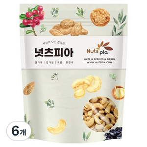 넛츠피아 구운 캐슈넛, 200g, 6개