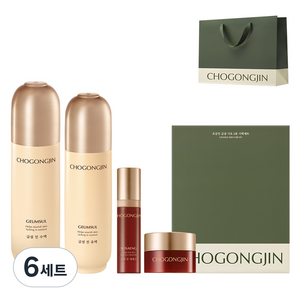 초공진 금설 영양케어 에센셜 2종 기획세트, 6세트