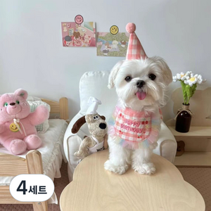 로위드 반려동물 생일파티 꼬깔모자 + 턱받이 세트, 핑크, 4세트
