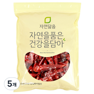 자연닮음 베트남 건고추, 300g, 5개