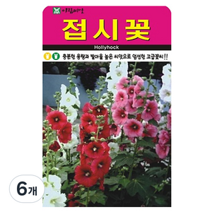아람씨앗 접시꽃 씨앗, 6개
