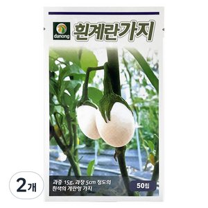 다농 흰계란 가지 씨앗 50p, 2개