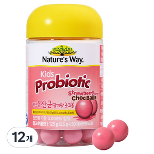 네이처스웨이 키즈 유산균 딸기맛 초코볼, 12개, 125g