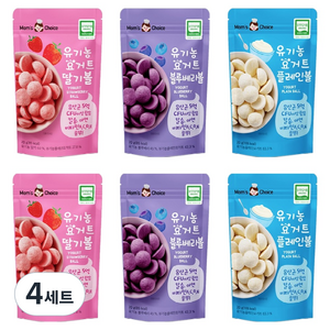 맛있는풍경 유기농 요거트볼 20g 3종 세트, 4세트, 딸기, 플레인, 블루베리