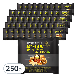 넛츠팜 하루하루 건강더함 블랙넛츠 믹스넛, 25g, 250개