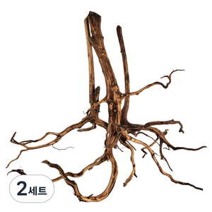 모비딕 키시레움 유목 3종 세트, 2세트