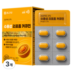 종근당 프로젝트 365 수용성 리포좀 커큐민 500mg, 3개, 30정