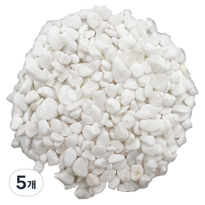 샘아쿠아 리프레쉬 자갈 3~5mm 3.4kg, 화이트, 5개