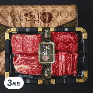농협안심한우 1+등급 안심특선 13호 1kg (등심200g + 채끝200g + 갈비살200g + 부채살200g + 살치살200g) (냉장), 3세트, 200g