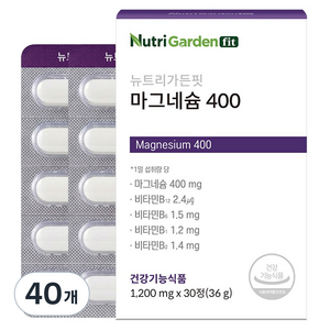 뉴트리가든 핏 마그네슘 400, 40개, 30정