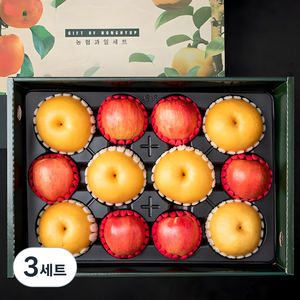 사과배 혼합 선물세트 대과 5.5kg(사과 6 배 6), 3세트