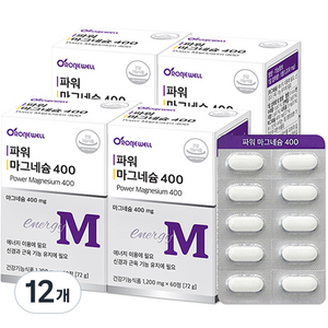 로니웰 파워 마그네슘 400, 12개, 60정