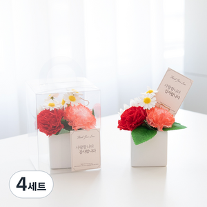 아스파시아 비누꽃 플로리 카네이션 화분 + 케이스 + 메시지 카드 + 용돈 봉투 세트, 레드 + 레드, 4세트