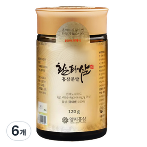 양지홍삼 활화삼 홍삼분말, 120g, 6개