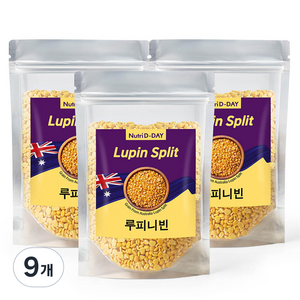 뉴트리디데이 루피니빈, 300g, 9개