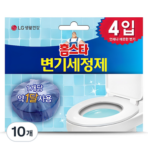 홈스타 변기 세정제 고체형 4개입, 160g, 10개